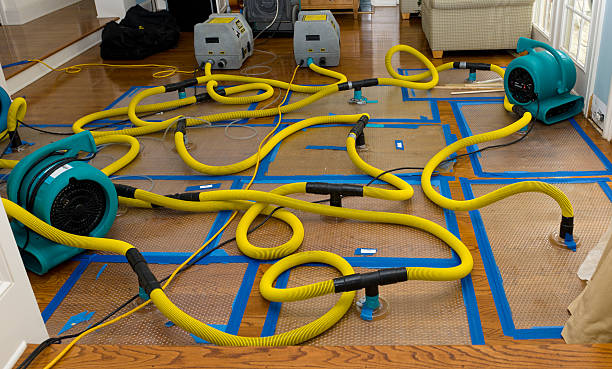 Professional Structural Drying And Dehumidification technician working in Escalon, CA